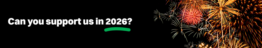 Can you support us in 2026? Banner with fireworks.